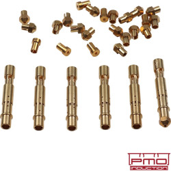 PartzBiz CE 1615152918 - carburettor tune-up kit, 50 mm carburettor PartzBiz CE 1615152918 - carburettor tune-up kit, 50 mm carburettor