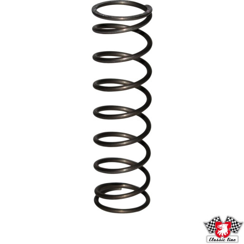 PartzBiz CE: 1131750100-Spring for 251798116A, kit