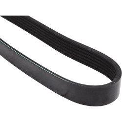 PartzBiz CE 5018100100 - V-Ribbed Belt PartzBiz CE 5018100100 - V-Ribbed Belt